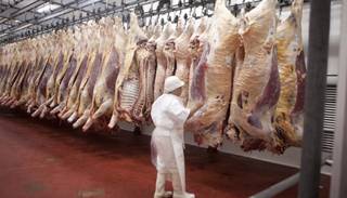 Argentina será el principal proveedor de carne a China