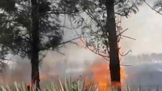 Jujuy “ardió” durante todo el domingo: se registraron 13 incendios forestales