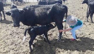 Jujuy presentó su experiencia en el turismo rural comunitario