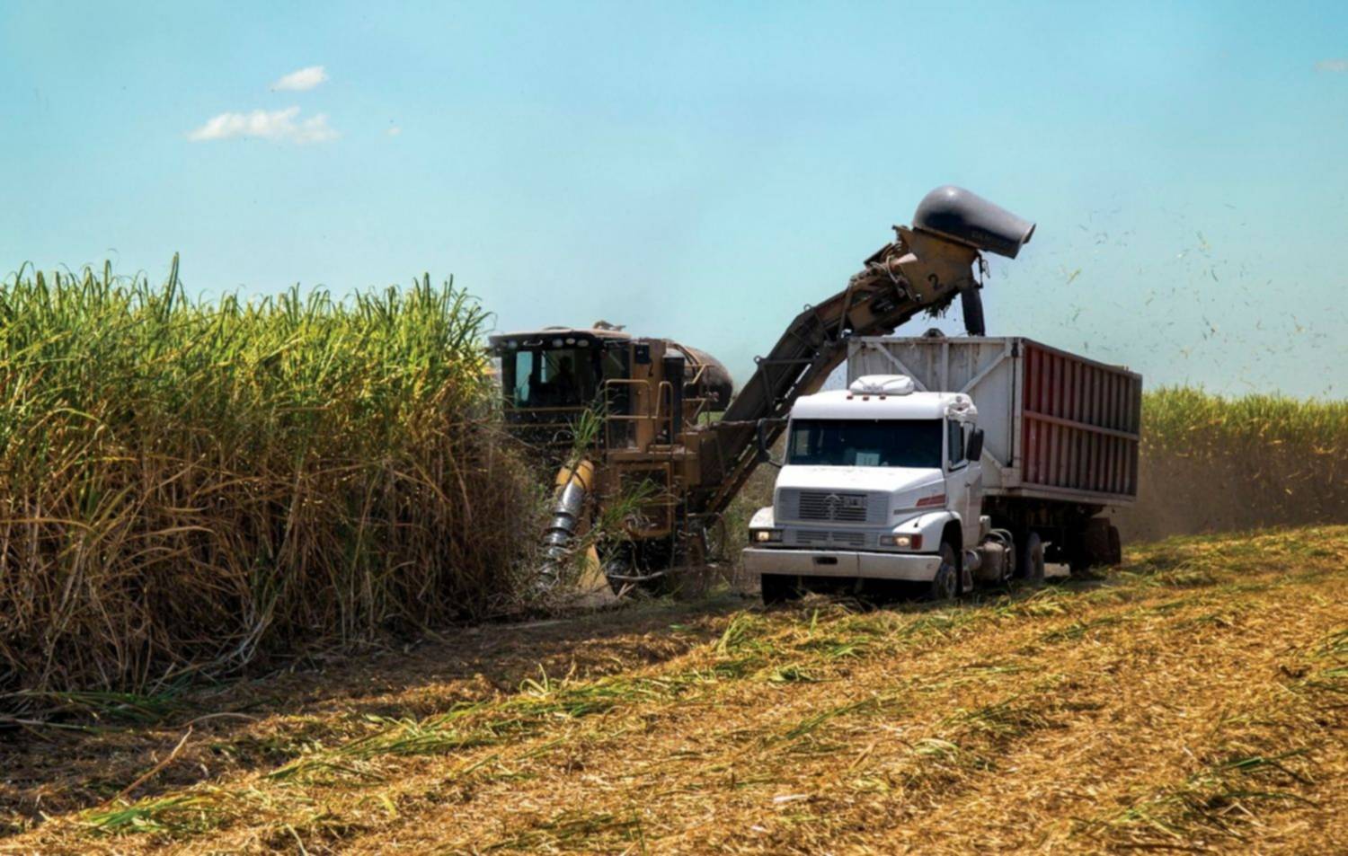 Ingenio San Isidro: presente y futuro de una gran industria