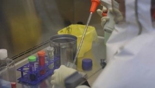 Brucelosis en China: se escapó una bacteria de un laboratorio y ya hay más de 3.000 enfermos