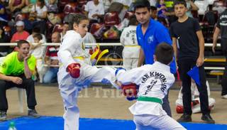 XX Campeonato Regional de Taekwon-Do