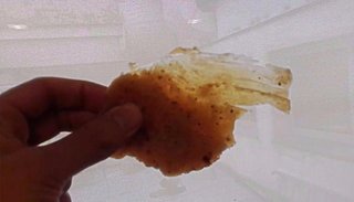 VIDEO: Compró milanesas, las comió y se descompuso, mirá de qué estaban hechas