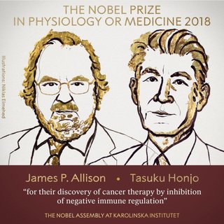 Nobel de Medicina: Allison y Honjo, elegidos por sus avances contra el cáncer 
