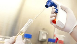 Avance argentino contra el VIH: encuentran la base para una terapia exitosa