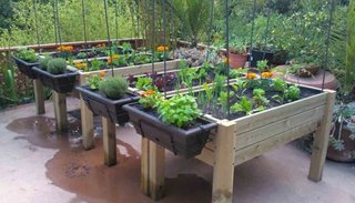Inició un prometedor plan de producción de verduras y hortalizas