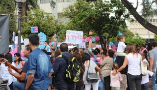 En contra de la reforma de ley de Educación Sexual