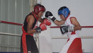 Clasificaron a los mejores al Regional