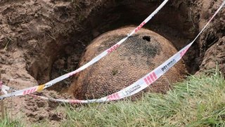 Video. Encontraron en Ezeiza restos de un gliptodonte de más de 10 mil años
