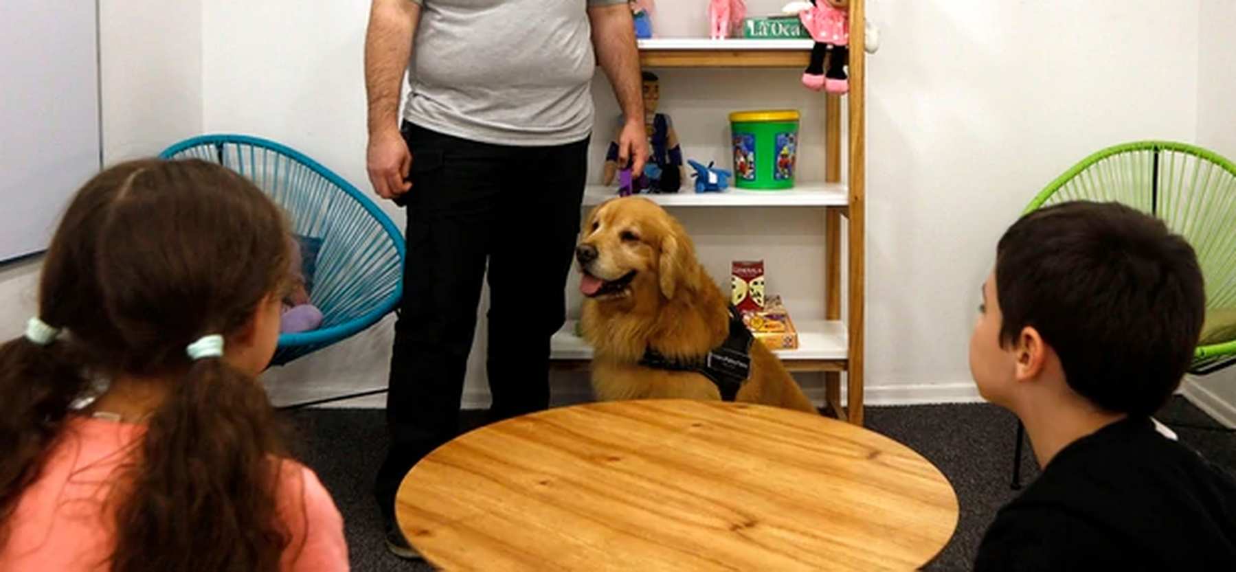 “Titán”, el primer perro que acompaña a niños a declarar como víctimas o testigos de delitos