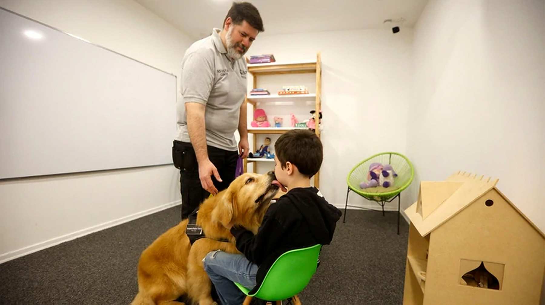 “Titán”, el primer perro que acompaña a niños a declarar como víctimas o testigos de delitos