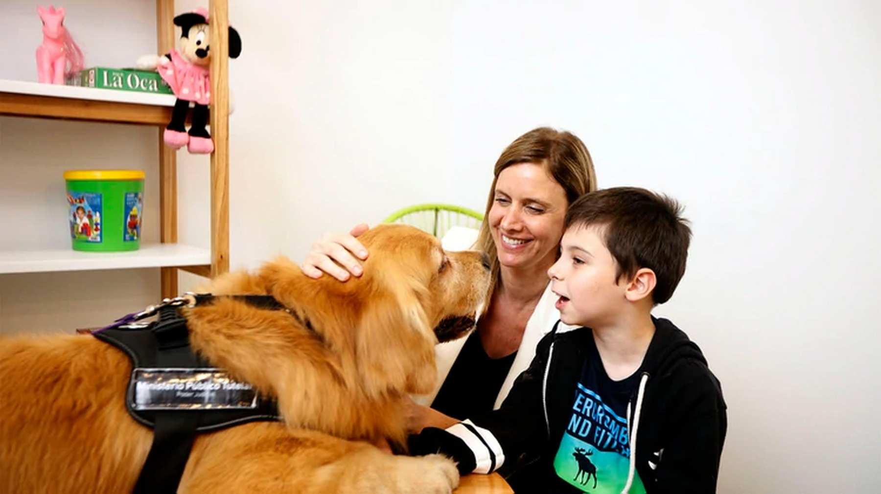 “Titán”, el primer perro que acompaña a niños a declarar como víctimas o testigos de delitos
