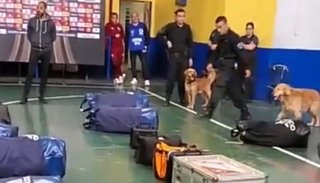 Les revisaron hasta las muelas