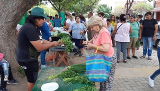 Habilitan una feria de productores de verduras para favorecer al vecino