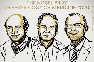 Nobel en Medicina: distinguen a quienes descubrieron el virus de la hepatitis C