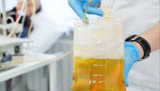 Aseguran que la ley de plasma acabará con las especulaciones