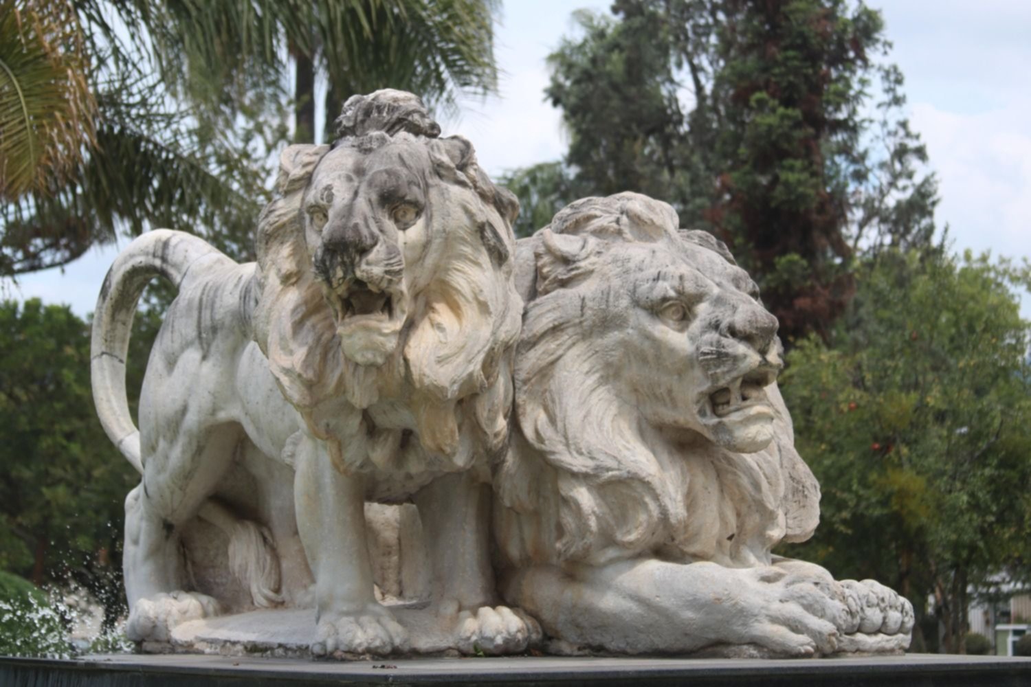 Todo listo para limpiar la escultura “Los Leones”