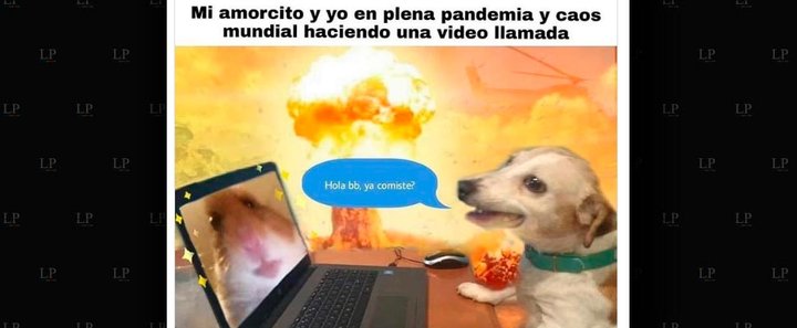 depresión perro meme