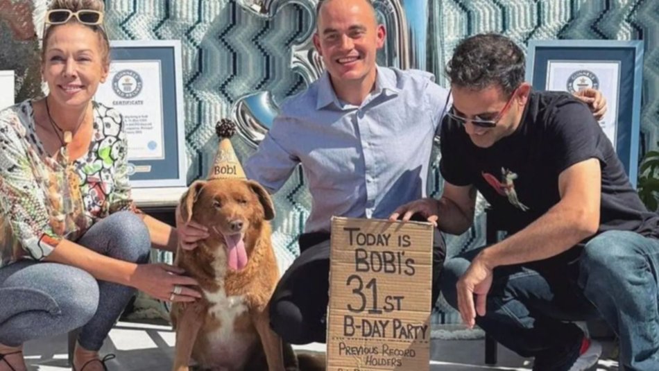 Murió Bobi, el perro más longevo del mundo: tenía 31 años
