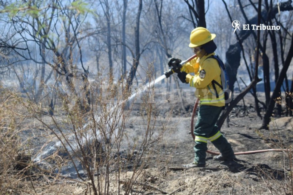 Incendios en Cafayate: Controlaron el fuego en la zona de los medanos y realizan trabajos de enfriamiento- Incendios en Cafayate: Controlaron el fuego en la zona de los medanos y realizan trabajos de enfriamiento