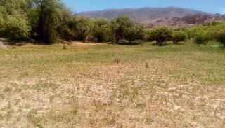 Novedosa propuesta de bioconstrucción