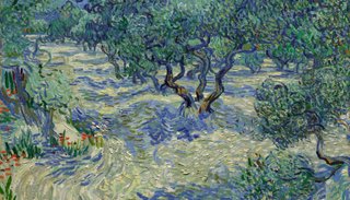 Hallan un saltamontes que estuvo oculto por 128 años en "Los olivos" de Van Gogh