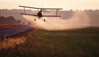 Posible prohibición de Europa al glifosato podría trabar las ventas de granos argentinos por $17 mil millones