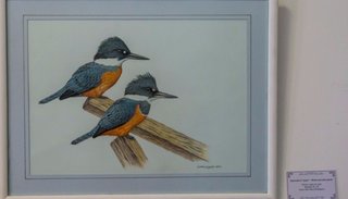 “Una mirada a lo salvaje”, muestra de pintura naturalista para el asombro