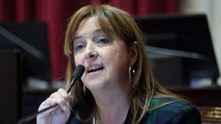Buscan que se declare la emergencia social por violencia de género