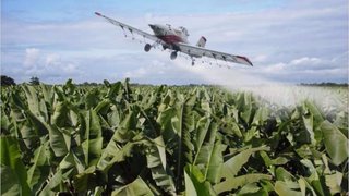 El glifosato, el inesperado obstáculo para formar gobierno en Alemania