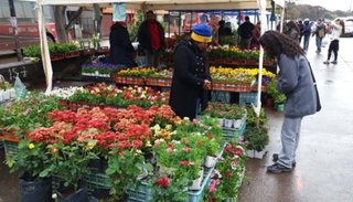 Primera Fiesta Provincial de la Floricultura "Jujuy en Flor"