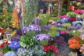 Mañana arranca la Expo Viveros, la muestra más grande de flores y plantines de la región
