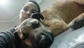 Simón, el perro que fue mordido por una yarará por salvar a tres niños