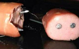 Un veterinario explotó contra los que arrojan comida con clavos para matar perros