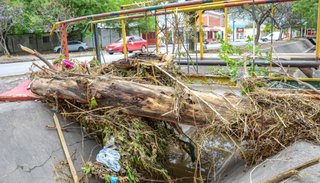Sacaron los árboles caídos tras el temporal