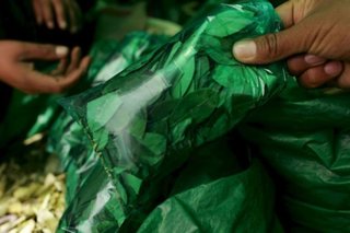 VIDEO. Los conflictos en Bolivia desestabilizan el precio de la coca en Salta