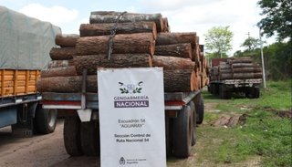 Aguaray: transportaba rollos de maderas nativas  sin documentación valuados en más de $ 1 millón 
