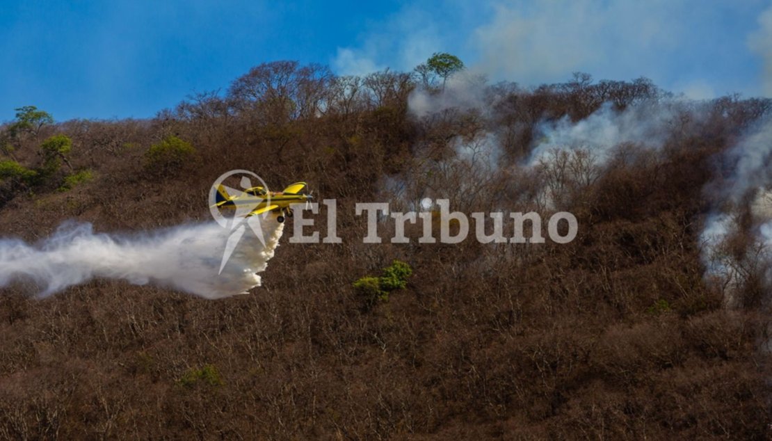 Foto: Javier Corbalán. Foto: Javier Corbalán.