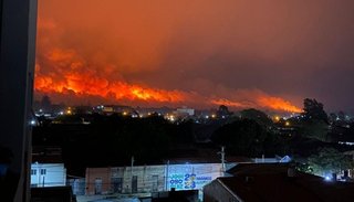 Investigarán si los incendios en Orán fueron provocados para aprovechar ilegítimamente la tierra arrasada