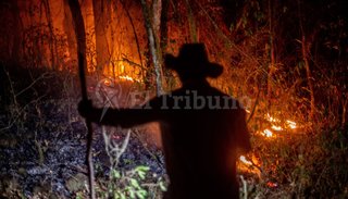  Desastre ecológico: hablan de 40 mil hectáreas de selva bajo el fuego