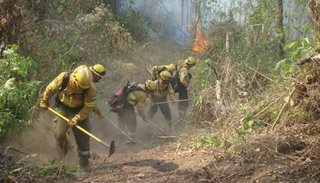 Incendios en el norte: esperan que YPF informe sobre la zona minada