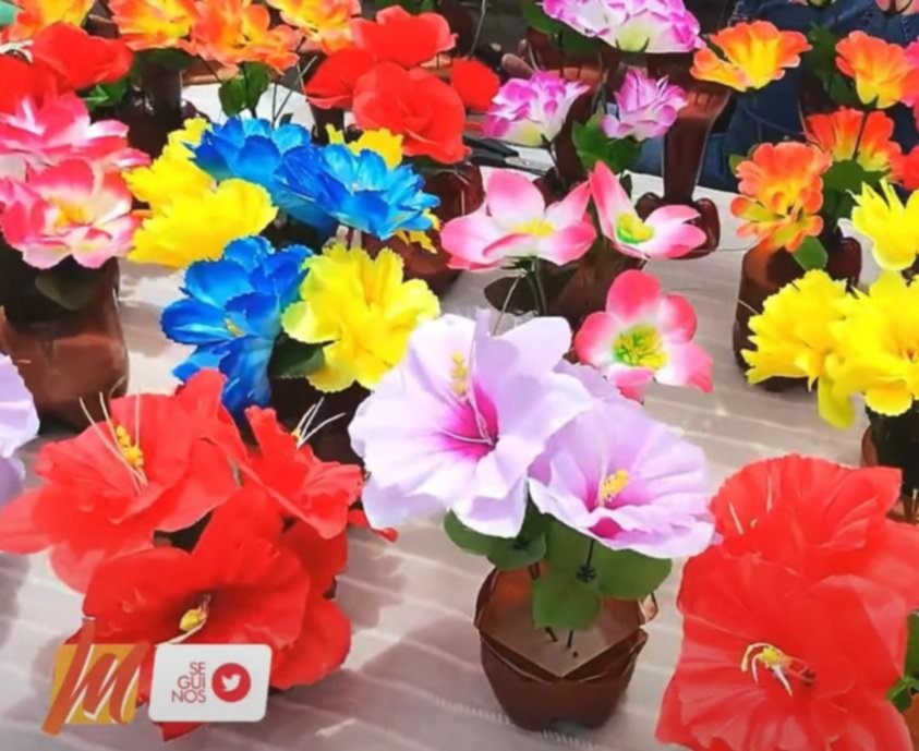 Flores desde los 300 pesos- Flores desde los 300 pesos