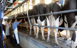 Economías regionales en rojo: solo una de diecinueve mantiene su producción y consumo estable