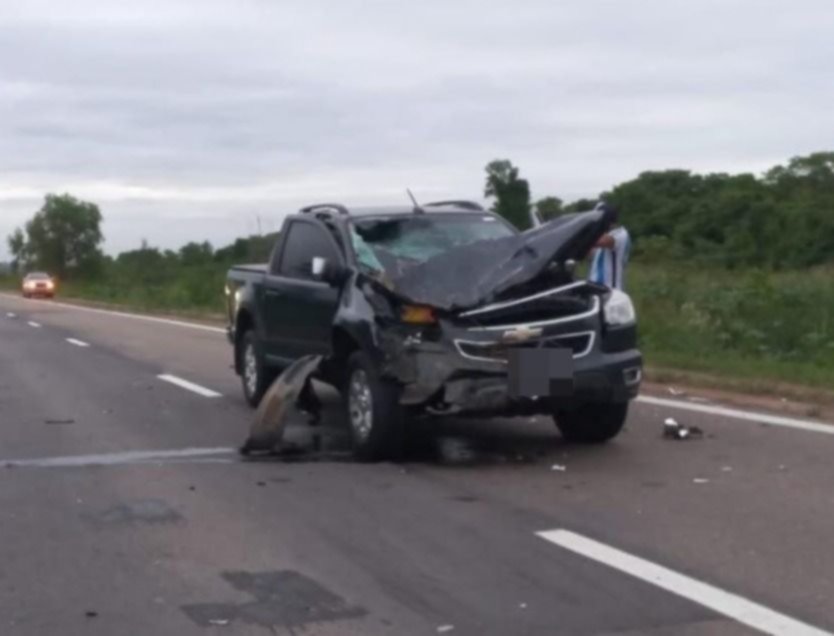 Un caballo se cruzó en la Ruta Nacional 50 y fue embestido por dos vehículos- Un caballo se cruzó en la Ruta Nacional 50 y fue embestido por dos vehículos