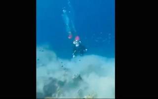 VIDEO El impactante momento en que buzos captan un gran terremoto bajo el mar