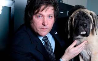 La empresa que clonó al perro de Milei se jactó del triunfo de La Libertad Avanza