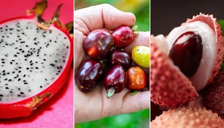 Tres frutas poco conocidas con increíbles beneficios para la salud
