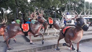 Espíritu navideño