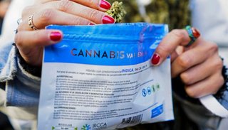 CNN en Español emite mañana el documental "Marihuana: el experimento uruguayo"