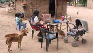Malas noticias para el desarrollo rural de nuestra provincia